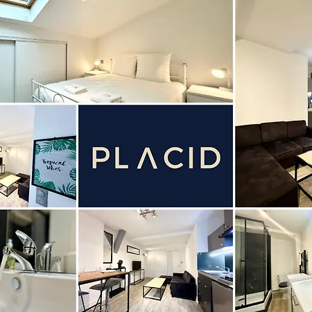 Apartamento L'odyssée De Gourgues - - Wifi Mont de Marsan